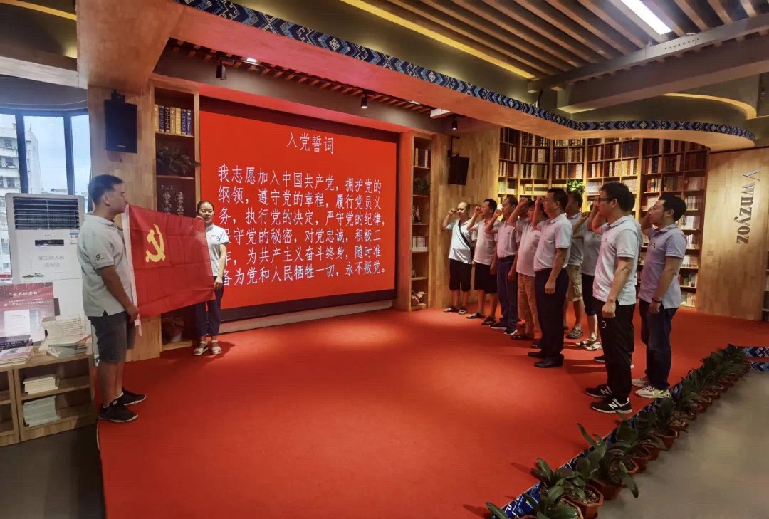 合浦、武鸣、忻城新华：开展迎“七一”主题党日活动