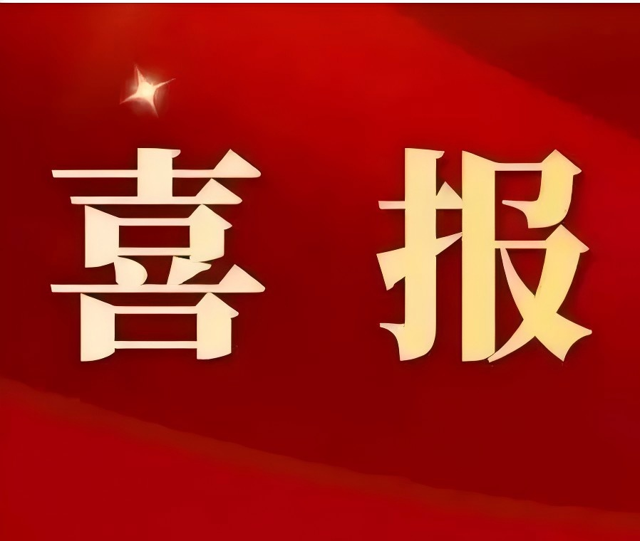 来宾市新华书店党总支荣获自治区国资委党委系统2024—2026年度“先进基层党组织”称号